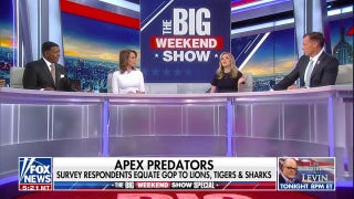 Republicans are learning how to fight back, says Taylor Riggs - Fox News