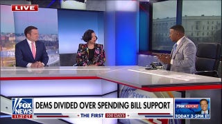 Republican strategist says ‘it’s not looking good’ for Democrats as party faces internal division - Fox News