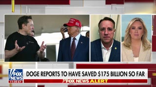GOP lawmaker says ‘DOGE lives on’ amid Elon Musk’s departure - Fox News