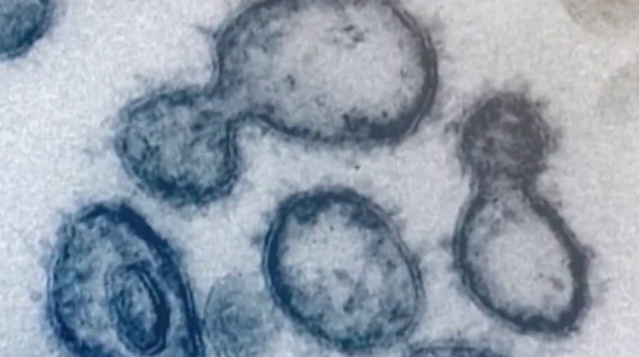 US hospitals working to prevent coronavirus spread to doctors and nurses