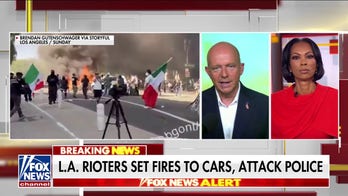 Steve Hilton slams Newsom over handling of anti-ICE riots: He is lying, not providing leadership