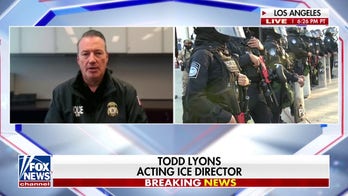  It's 'bad' in LA, acting ICE director says