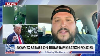 Texas farmer says 'almost 100%' of his employees aren't showing up due to Trump immigration policies - Fox News