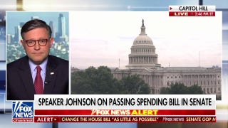 Mike Johnson touts ‘one-team approach’ as House and Senate Republicans work on spending bill - Fox News