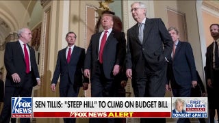 Senate could take longer than 30 days to pass Trump's 'big, beautiful' budget bill - Fox News