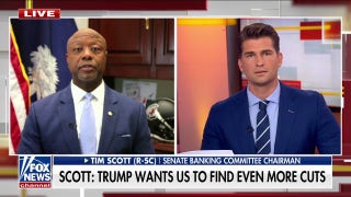 Sen. Tim Scott expresses confidence about codifying DOGE cuts - Fox News