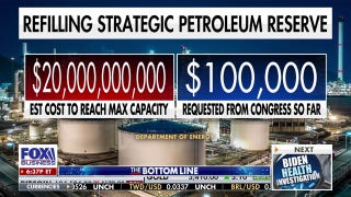 Biden used the Strategic Petroleum Reserve for 'pure political reasons,' says Steve Moore - Fox Business Video