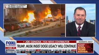 Joe Concha predicts history will be ‘kind’ to Elon Musk despite Democratic criticism - Fox Business Video