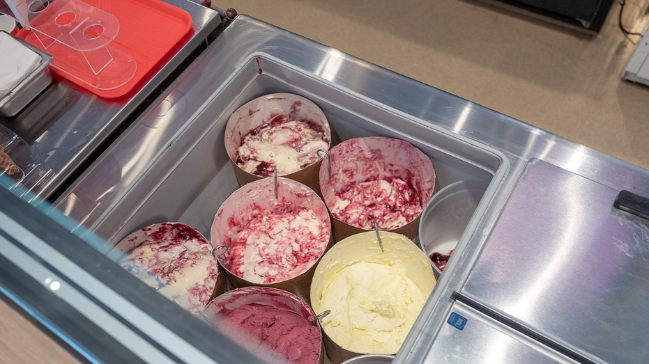Ice cream cabinet at Salt and Straw