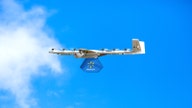Walmart expands drone delivery service to 3 more states in race against Amazon