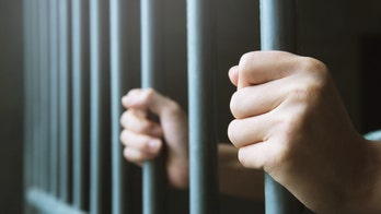 What prisons can and can't do in battling the mental health crisis: Trey Gowdy