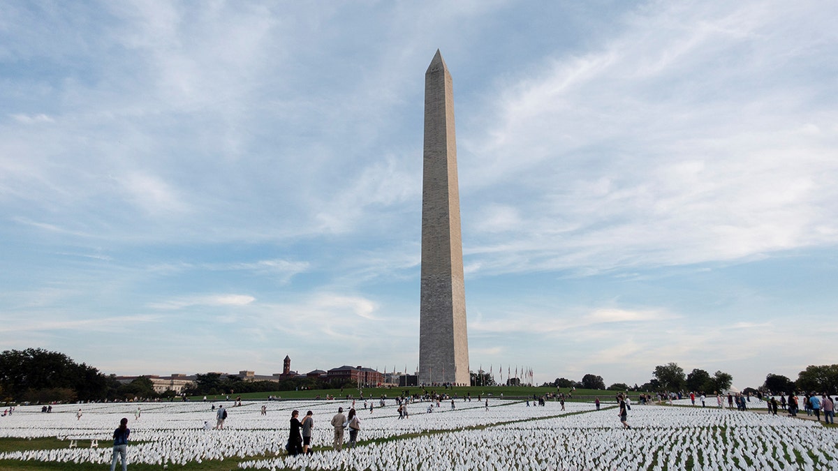 White flags honoring the lives lost to COVID-19 are seen on the National Mall in Washington, D.C., the United States, on Oct. 2, 2021.